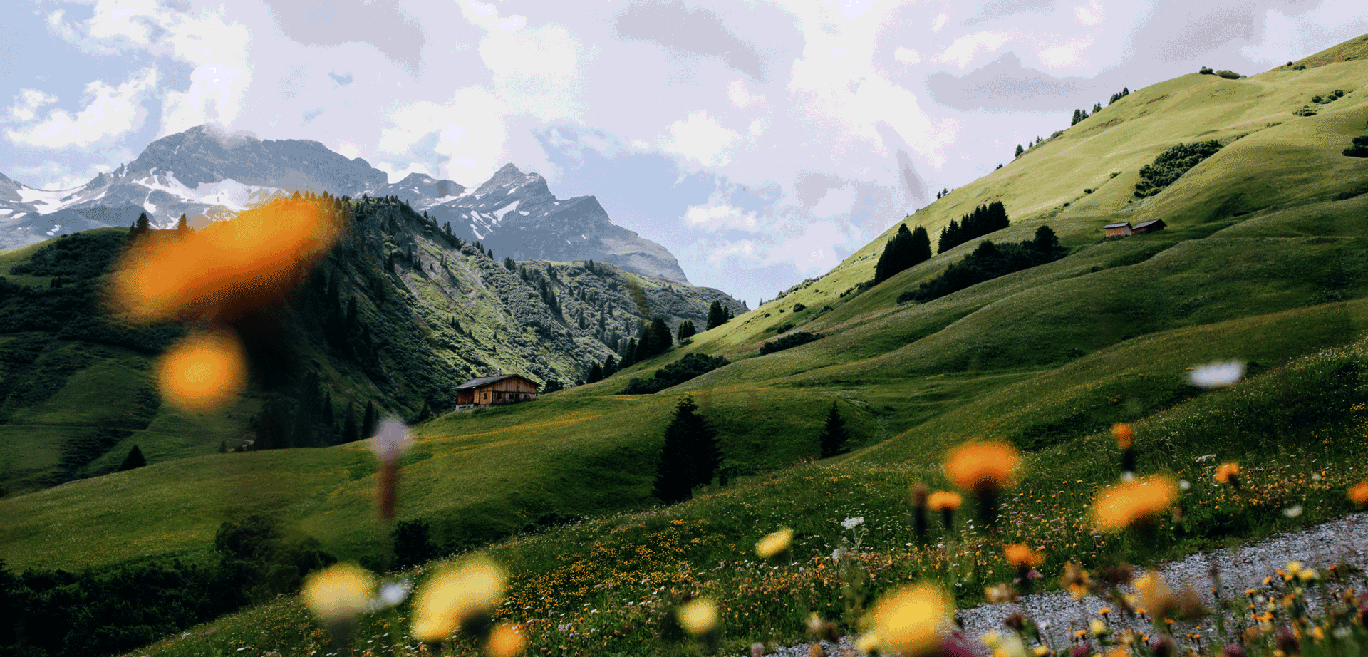 Lechtal, Sommer Sommerliche Alpenlandschaft mit blühender Wiese, grünen Hügeln und Holzhütte im Hintergrund, Berge ragen majestätisch dahinter.